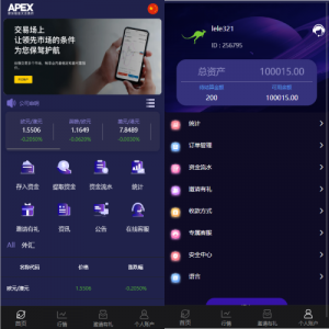 新UI多语言微盘外汇系统/时间盘微盘