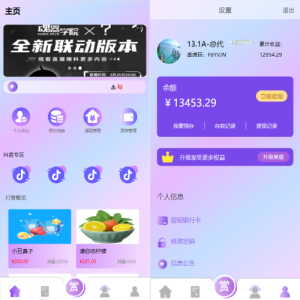 定制版抖音刷单系统/抖音抢单刷单/手动自动抢单