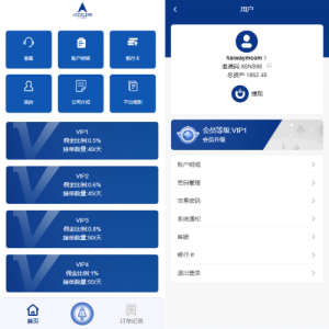 海外多语言APP软件游戏抢单系统/连单卡单/抢单刷单