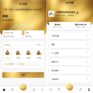 新版多语言抢单刷单系统/连单刷单/海外抢单刷单