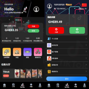 语言TIKTOK刷单/海外TIKTOK抢单刷单/叠加组/打针