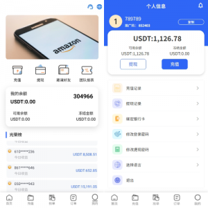 多语言亚马逊抢单刷单系统/叠加组刷单/海外抢单