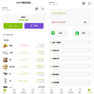 海外黄金期货微交易系统/多语言微盘/单控/实名认证