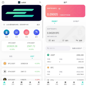 运营版海外交易所/期权交易/合约交易/多语言申购交易所