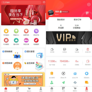 即拼商城/拼团商城/拼团返利商城/二合一商城/前端vue