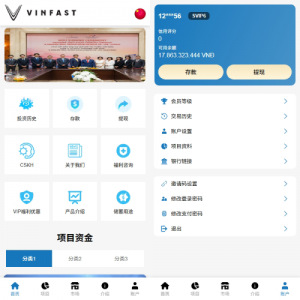 海外投资众筹系统/越南投资理财/前端VUE
