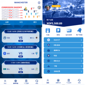 海外反波胆系统/多语言球盘/足球下注/三级分销