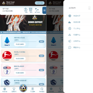 PC自适应反波胆系统/球盘/多级分销/充值返点