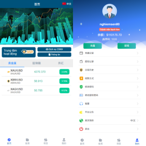 多语言微交易/贵金属外汇虚拟币微盘/越南时间盘