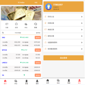 海外微交易系统/多语言微盘/外汇交易/时间盘